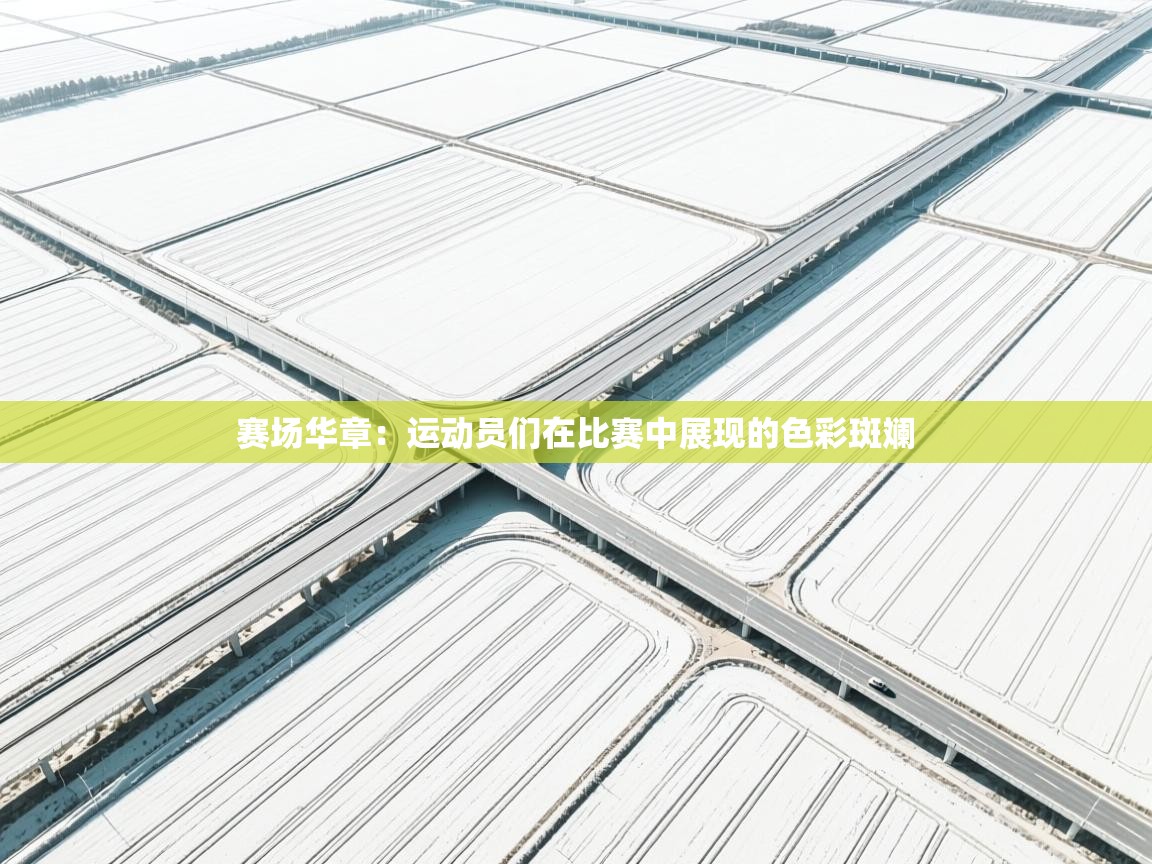 赛场华章：运动员们在比赛中展现的色彩斑斓  第2张