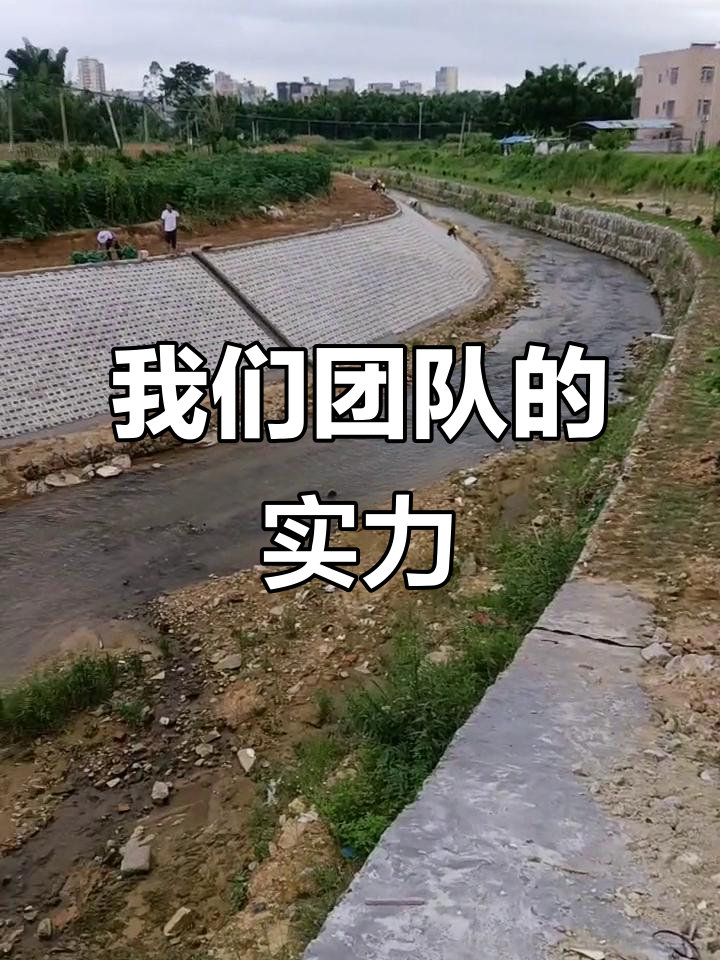 爱游戏投注-河南队扬眉吐气，凭借团队合作力量取胜的简单介绍