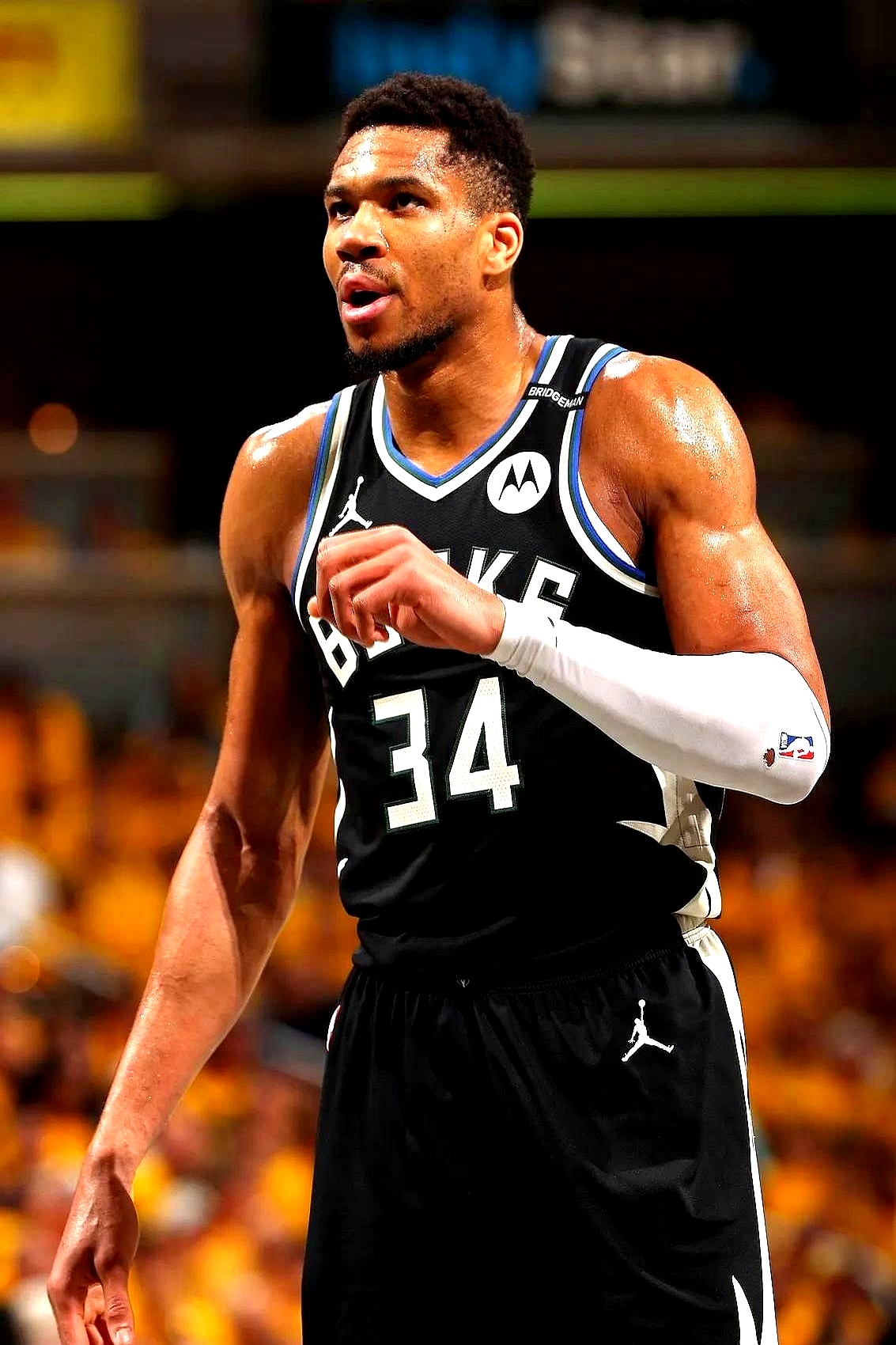 包含雄鹿客场战胜掘金,字母哥再度展现全面实力的词条 包含雄鹿客场战胜掘金,字母哥再度展现全面实力的词条